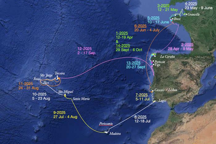 Screenshot 2024-08-22 at 16.25.30