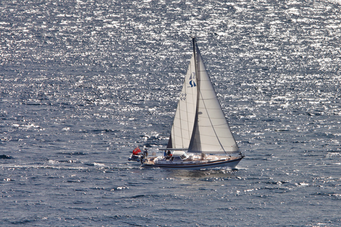 Regina Laska _MG_7745.jpg